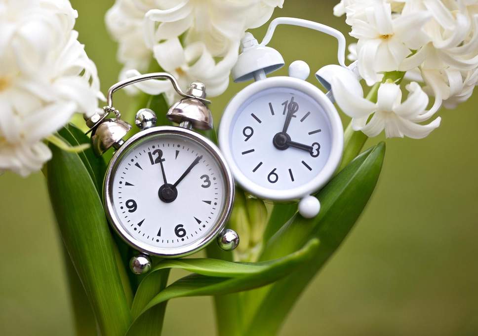 Spring Forward!